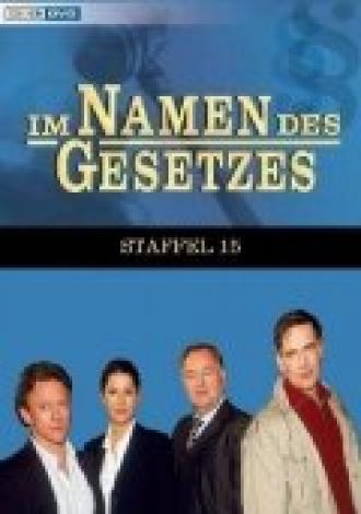 Именем закона (сериал 1994)
