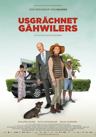 Usgrächnet Gähwilers (фильм 2017)