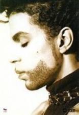 Prince: The Hits Collection 1993