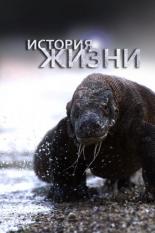 История жизни (2012)