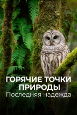 Горячие точки природы. Последняя надежда 2018