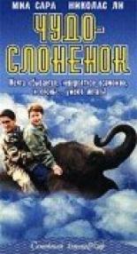 Чудо — слоненок 2001