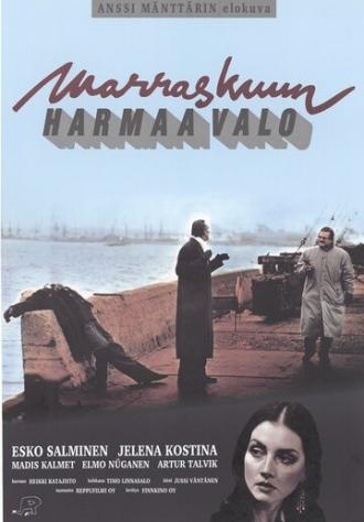 Серый свет ноября (фильм 1993)