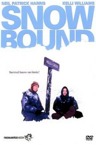 Затерянные в снегах: История Джима и Дженнифер Столпа (фильм 1993)