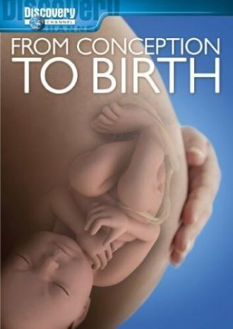 From Conception to Birth (фильм 2005)