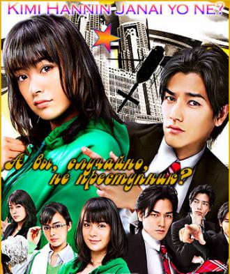 А вы, случайно, не преступник? (сериал 2008)