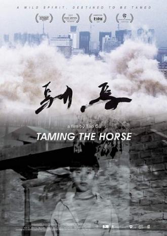 Taming the Horse (фильм 2017)