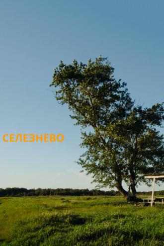 Селезнёво (фильм 2020)