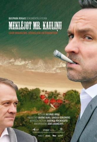 В поисках мистера Каулиня (фильм 2019)