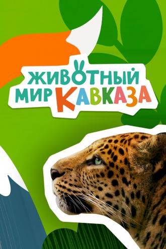 Животный мир Кавказа (сериал 2022)