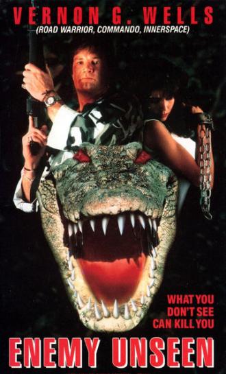 Невидимый враг (фильм 1989)