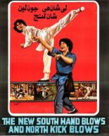 Новые удары южной руки и северной ноги (1981)