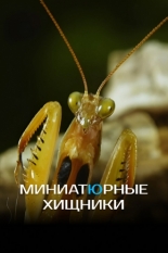 Миниатюрные хищники (2019)