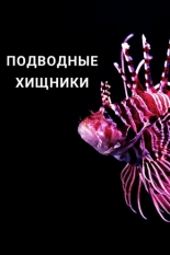 Подводные хищники 2021