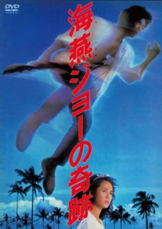 Чудо Джо буревестника (фильм 1984)