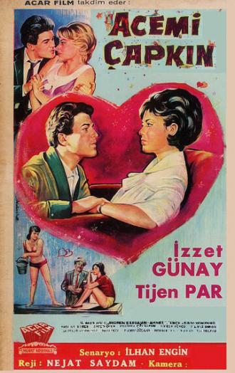 Начинающий распутник (фильм 1964)