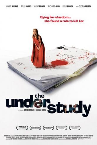 Дублерша (фильм 2008)