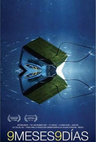 9 месяцев, 9 дней (фильм 2009)