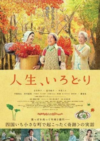 Цветная жизнь (фильм 2012)
