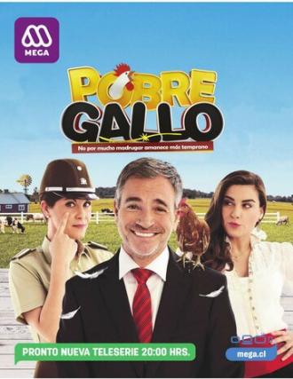 Бедолага (сериал 2016)