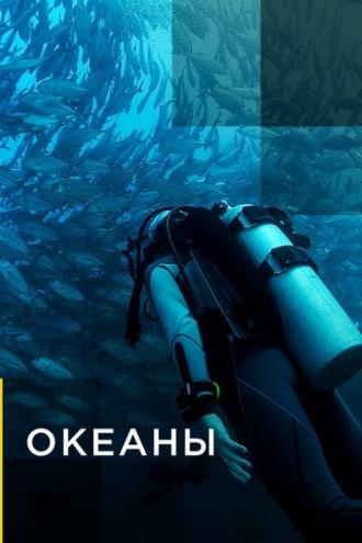 Океаны