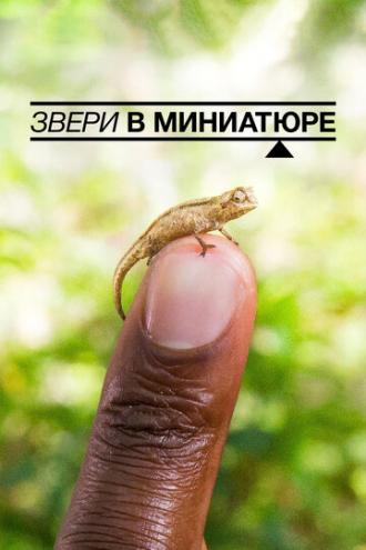 Звери в миниатюре (фильм 2017)