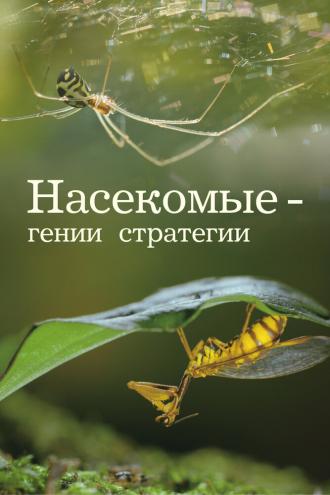 Насекомые — гении стратегии (сериал 2021)