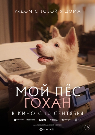 Гохан (2026)
