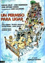 Разрешение на флирт (1980)