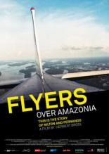Flieger über Amazonien 2008