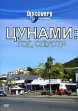 Цунами: Год спустя (2005)