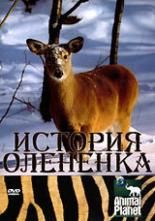 История олененка 2003