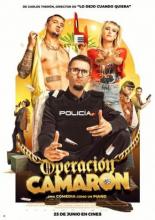 Операция Камарон (2021)