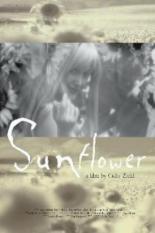 Sunflower 2004