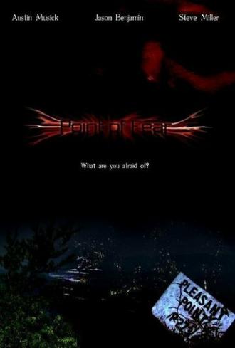 Point of Fear (фильм 2006)