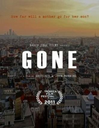 Пропавший: Исчезновение Аэрина Гиллерна (фильм 2011)