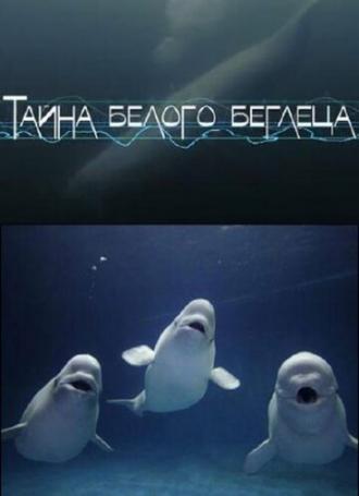 Тайна белого беглеца (фильм 2012)