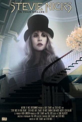 Stevie Nicks: In Your Dreams (фильм 2013)