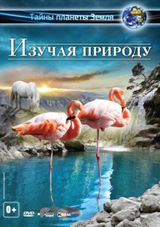 Изучая природу 3D (фильм 2012)