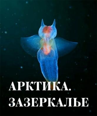 Арктика. Зазеркалье (фильм 2017)