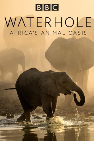 Waterhole: Africa's Animal Oasis (сериал 2020)