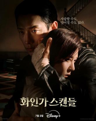 Красный лебедь (сериал 2024)