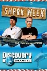 Shark Hunter: Chasing the Great White 2005
