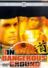 На опасной земле (1996)