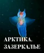 Арктика. Зазеркалье (2017)