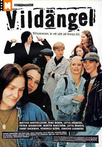 Дикий ангел (фильм 1997)