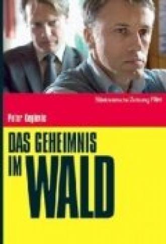 Das Geheimnis im Wald (фильм 2008)