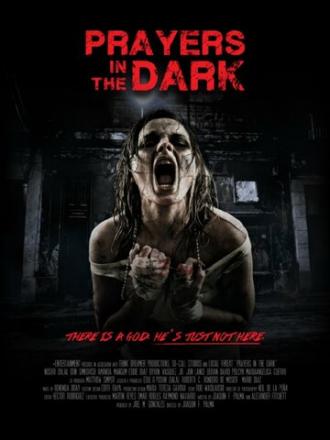 Prayers in the Dark (фильм 2013)
