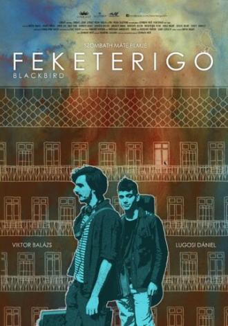 Feketerigó (фильм 2015)