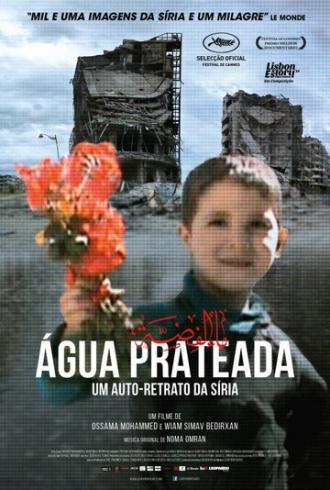Серебряная вода (фильм 2014)